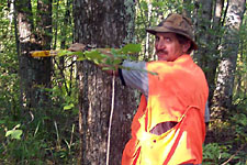 Arbor North :: Tree Marking